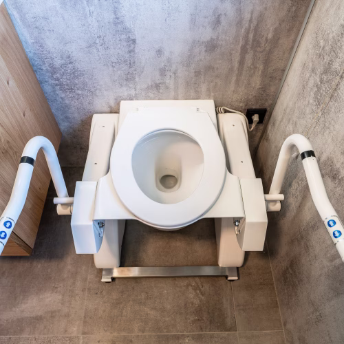Vertikaler Heber R2D2-V zur Unterstützung beim Aufstehen von der Toilette, Farbe Weiß